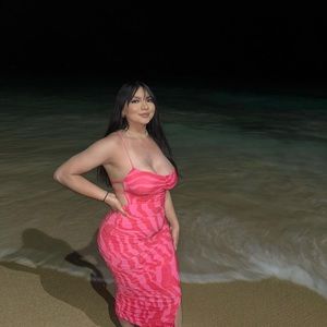 Melina mesh midi dress from fashion nova